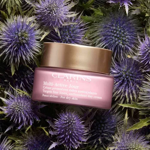 Clarins Tagespflege^Multi-Active Jour Anti-Oxidative Tagescreme Bei Ersten Falten Fur Trockene Haut