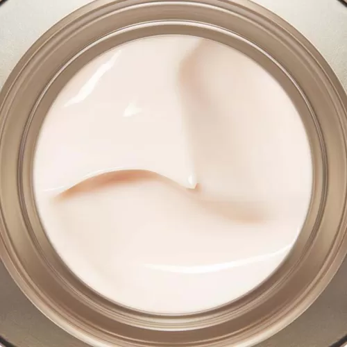 Clarins Tagespflege^Nutri-Lumiere Jour