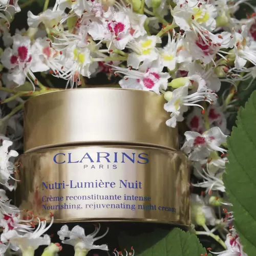 Clarins Anti-Age Pflege^Nutri-Lumiere Nuit - Nahrende, Aufbauende Anti-Age Nachtcreme - Fur Jeden Hauttyp