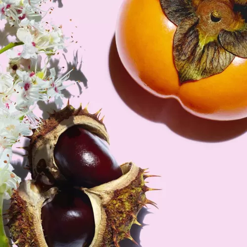 Clarins Tagespflege^Nutri-Lumiere Revive - Revitalisierende Anti-Age Tagescreme Fur Einen Schönen Hautton